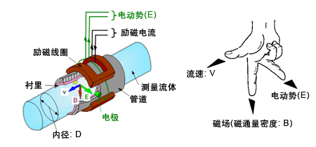 石灰好色先生APP官网入口下载苹果工作原理图